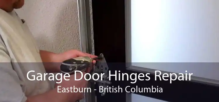 Garage Door Hinges Repair Eastburn - British Columbia