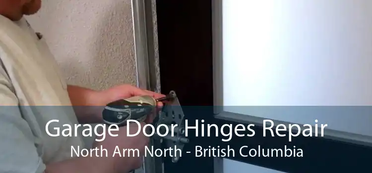 Garage Door Hinges Repair North Arm North - British Columbia