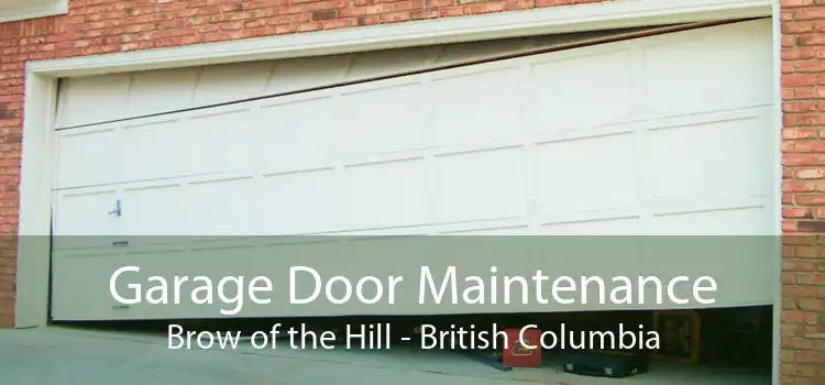 Garage Door Maintenance Brow of the Hill - British Columbia