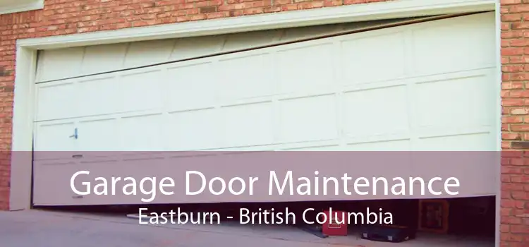 Garage Door Maintenance Eastburn - British Columbia