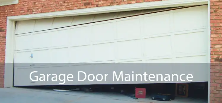 Garage Door Maintenance