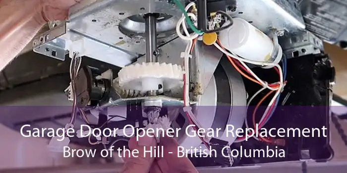 Garage Door Opener Gear Replacement Brow of the Hill - British Columbia
