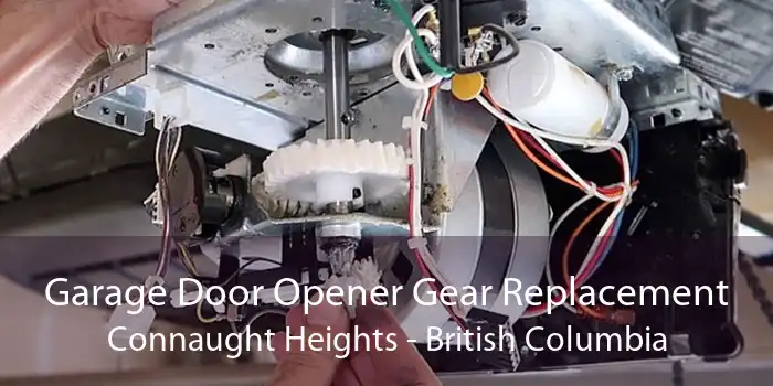 Garage Door Opener Gear Replacement Connaught Heights - British Columbia