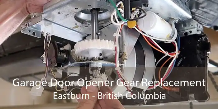 Garage Door Opener Gear Replacement Eastburn - British Columbia
