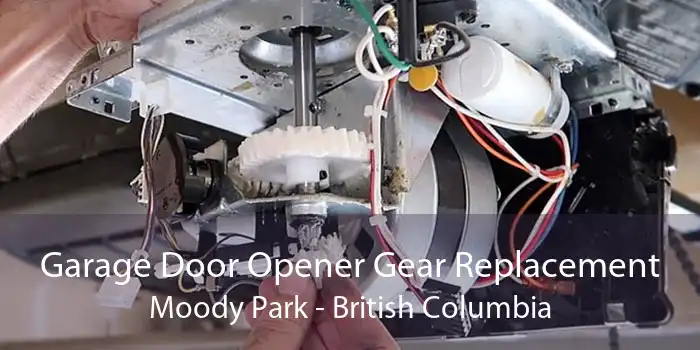 Garage Door Opener Gear Replacement Moody Park - British Columbia
