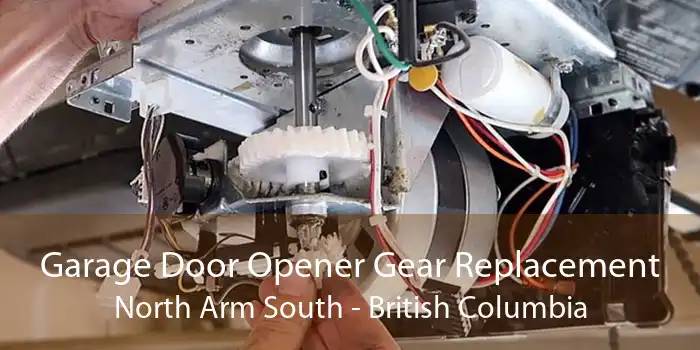 Garage Door Opener Gear Replacement North Arm South - British Columbia