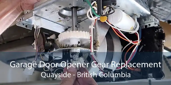 Garage Door Opener Gear Replacement Quayside - British Columbia