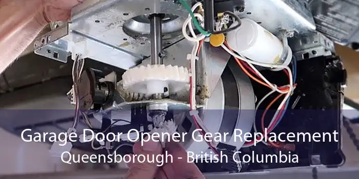 Garage Door Opener Gear Replacement Queensborough - British Columbia