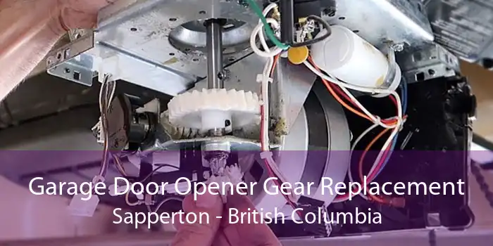 Garage Door Opener Gear Replacement Sapperton - British Columbia