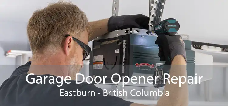 Garage Door Opener Repair Eastburn - British Columbia