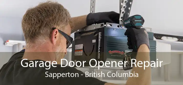 Garage Door Opener Repair Sapperton - British Columbia