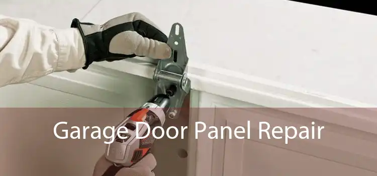 Garage Door Panel Repair