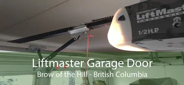 Liftmaster Garage Door Brow of the Hill - British Columbia