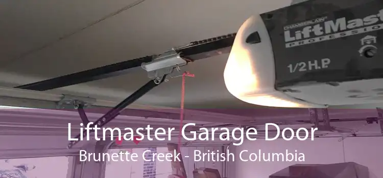Liftmaster Garage Door Brunette Creek - British Columbia
