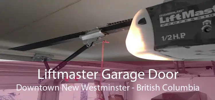 Liftmaster Garage Door Downtown New Westminster - British Columbia