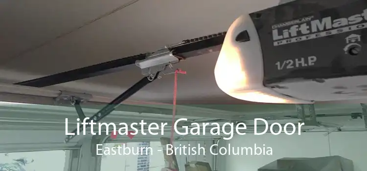 Liftmaster Garage Door Eastburn - British Columbia